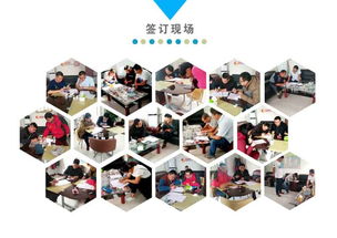 農(nóng)用小型挖掘機(jī)實(shí)用指南 價格、圖片參數(shù)與應(yīng)用服務(wù)詳解